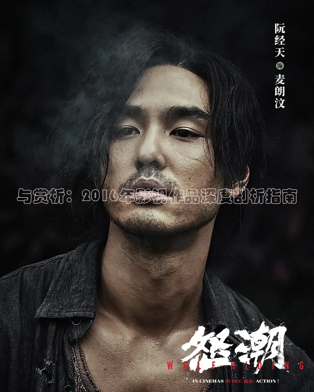 与赏析：2016年影视作品深度剖析指南